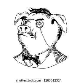 Drawing sketch style illustration of a noble aristocratic pig wearing a monocle and business suit with tie or tuxedo looking up on isolated white background in black and white.