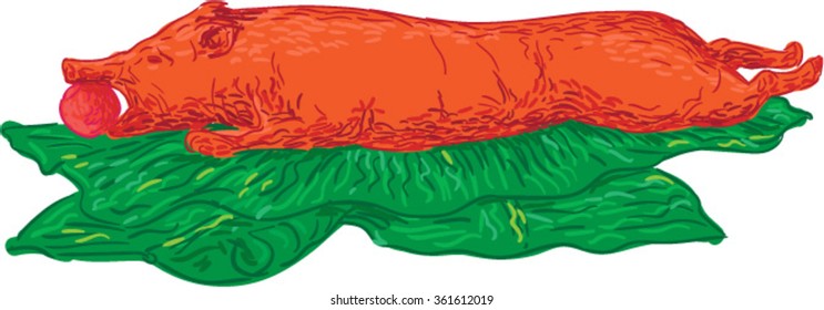 Drawing sketch style illustration of roast pig also known as lechon on banana leaves set on isolated white background. 