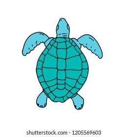 Drawing sketch style illustration of a  a sea turtle swimming viewed from top  on isolated white background.