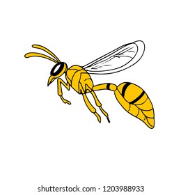 104 Yellowjacket Stock Illustrations, Images & Vectors | Shutterstock