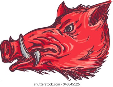 Drawing sketch style illustration of a wild pig boar razorback head viewed from the side set on isolated white background. 