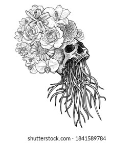 Drawing of skull with root and flower crown, life after death, isolated on white background. vector illustration