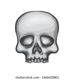 Drawing Of A Skull Vector Illustration