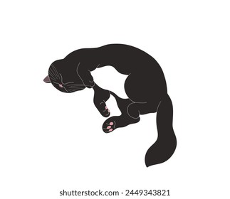 Drawing of a sleeping cute cat, art of a black fat cat.