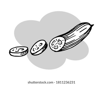 Drawing of a sliced cucumber. Vector sketch on white background
