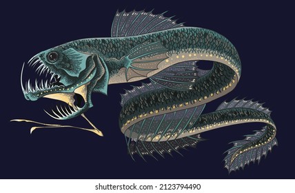 Drawing Sloane monster fish, monster characters, biggest, agressive, art.illustration, vector