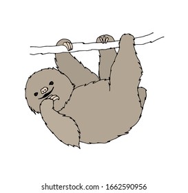 Drawing of a sloth on a tree. Vector illustration. Sketch on a white background.