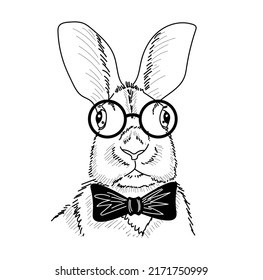 Drawing of smart rabbit professor. Smart and intelligent bunny portrait. Engraving, sketch or print.