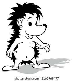 Drawing of a Smiling Cute Hedgehog from Front View - Cartoon Illustration Isolated on White Background, Vector