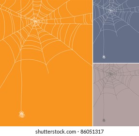 Drawing of spider web on plain background