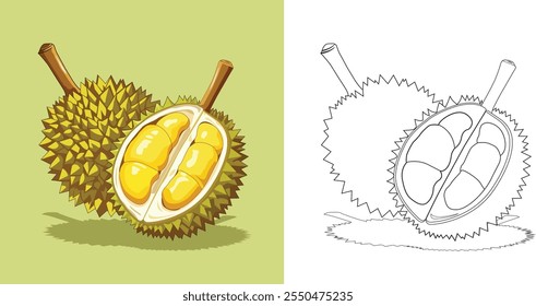 Um desenho de um fruto Durian dividido (colorir Página)