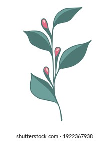 drawing of a spring branch with leaves and berries, buds, stylized vector graphics, ornamental plant branch