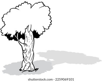 Drawing of a Standing Deciduous Tree - Cartoon Illustration Isolated on White Background, Vector