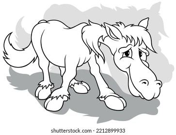 Drawing of a Standing Horse from Front View - Cartoon Illustration Isolated on White Background, Vector