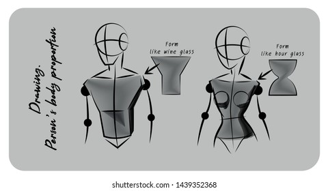 Drawing steps. cartoon and person's proportion. Vector art