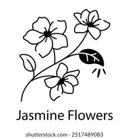 Eine Zeichnung Stil Ikone der schönen Jasminblumen 