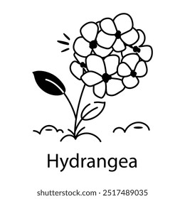 A drawing style icon of hydrangea flower