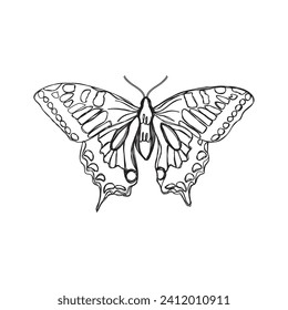 drawing style vector tattoo in lines of black butterfly with white background