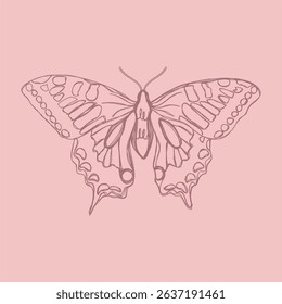 drawing style vector tattoo in lines of brown butterfly with pink background