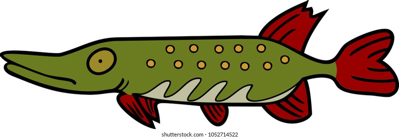 Drawing of stylized pike a long-bodied predatory freshwater fish on white background