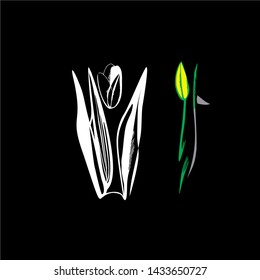 drawing of a stylized tulip on a black background