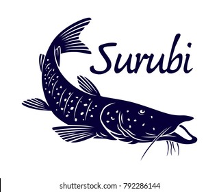 drawing surubi fish 