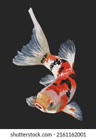 Dibujo taisho sanke koi, hermoso, art.ilustración, vector