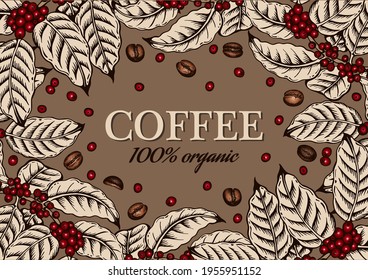 Drawing template of 100% organic coffee with leaves, roasted coffee beans, red coffee fruits on branch isolated on brown background. Coffee card for cafe menu. Doodle food plant. Vector illustration