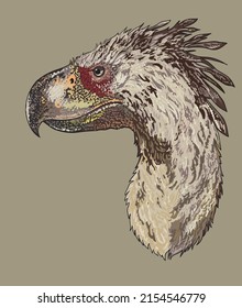 Drawing Terror Bird Head, Predator, Art.illustration, Vector