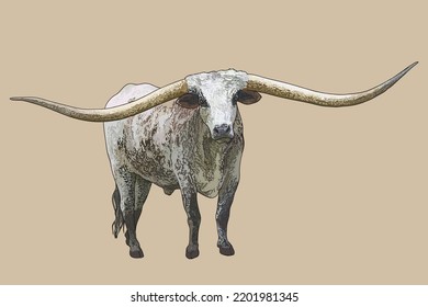 2,076 Texas Longhorn Stock Vectors, Images & Vector Art | Shutterstock