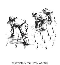 Dibujo de los agricultores tailandeses están plantando arroz en la granja