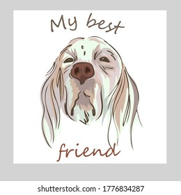 Drawing of a thoroughbred dog for printing on a t-shirt, the inscription, spaniel