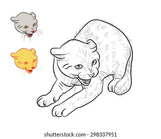 Drawing of threaten cat  with two separated head on white background