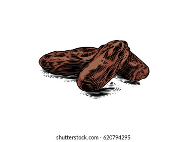 Drawing of three isoalted dates