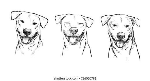 Drawing three portrait of dog smiling on white background,vector illustration