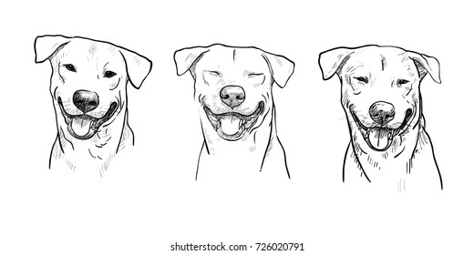 Drawing Three Portrait Of Dog Smiling On White Background,vector Illustration