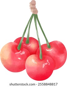 a drawing of three red cherries with a green stem.