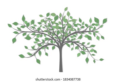 Drawing of a tree with branches and lots of green leaves of different sizes and tones on a white background
