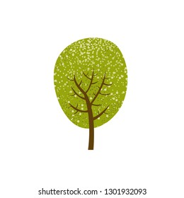 Drawing tree. Green tree isolated on white background