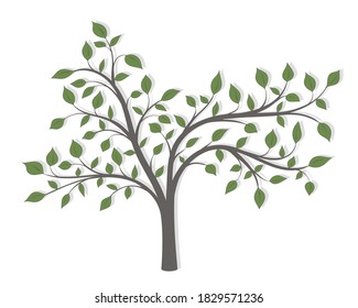 Drawing of a tree with green leaves of different shapes on a white background