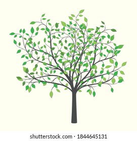 Drawing of a tree with green and yellow leaves on a light background