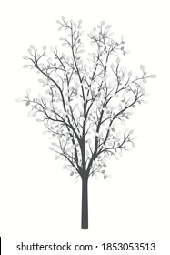 Drawing of a tree with leaves in vintage style on a white background