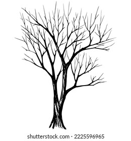 Dibujo de un árbol sobre un fondo blanco. Dibujo en blanco y negro.