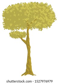 drawing of a tree with thick leaves