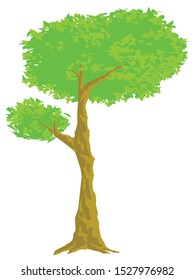 drawing of a tree with thick leaves