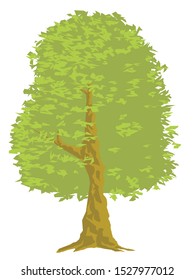 drawing of a tree with thick leaves