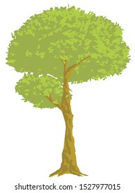 drawing of a tree with thick leaves