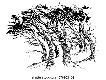 The drawing of trees on wind, black-and-white, for the press on fabrics, paper, on vinyl.