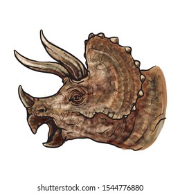 Drawing of a Triceratops head. Vector animal illustration