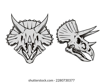 A drawing of a triceratops skull